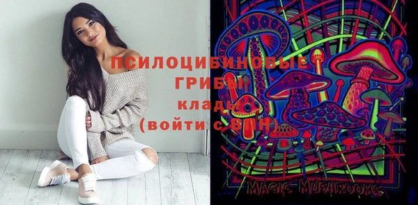 шишки Няндома