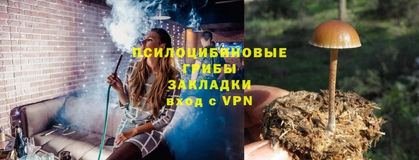 меф Протвино