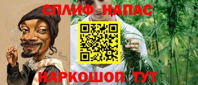 СК Владивосток