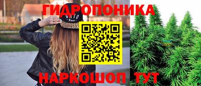 прущие крисы Владимир