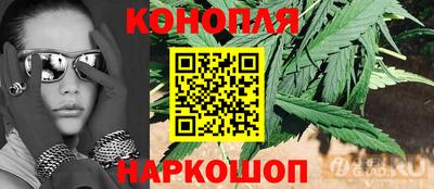 прущие крисы Владимир