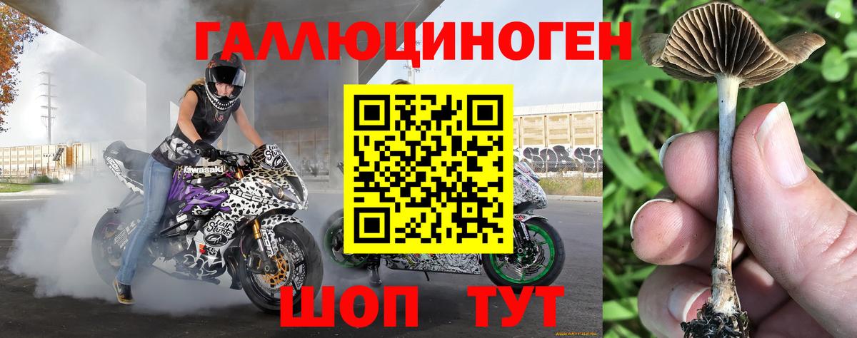 Морозовск  закладка  Галлюциногенные грибы ЛСД  Вход с VPN  Псилоцибиновые грибы прущие грибы 